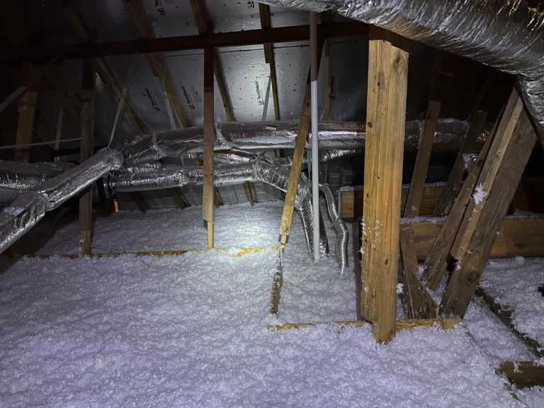 WhatsApp-Image-2025-05-15-at-8.21