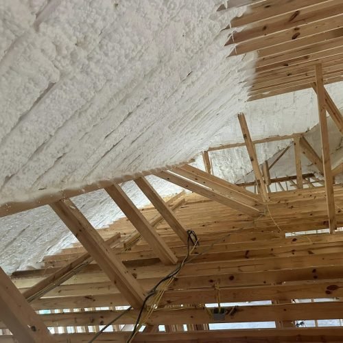 488885132_1169874591264720_2800170163100463029_n