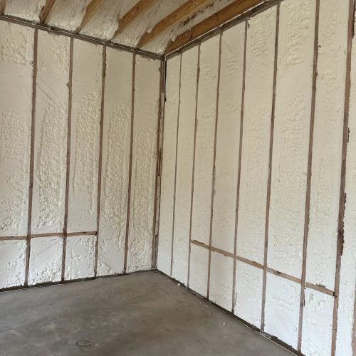 488911312_1169874557931390_8186578181358479980_n