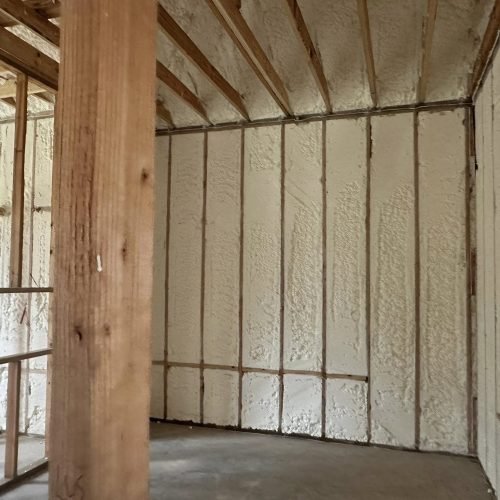 489383729_1169874597931386_5890020298195419454_n