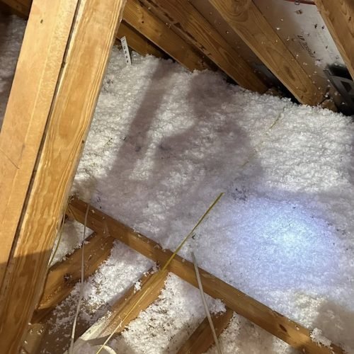 584388752_1346599706925540_1912639952129447320_n