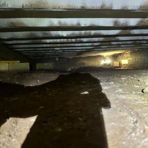 WhatsApp-Image-2025-05-15-at-11.53.08-PM-1