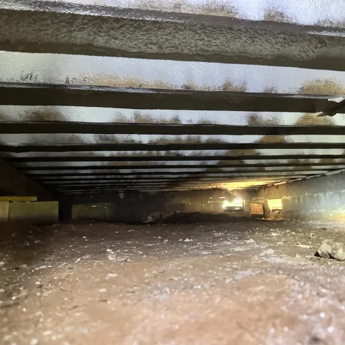 WhatsApp-Image-2025-05-15-at-11.53.08-PM