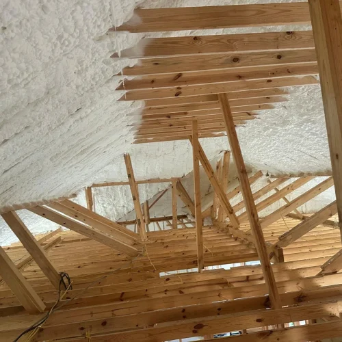 WhatsApp-Image-2025-05-15-at-11.55.24-PM