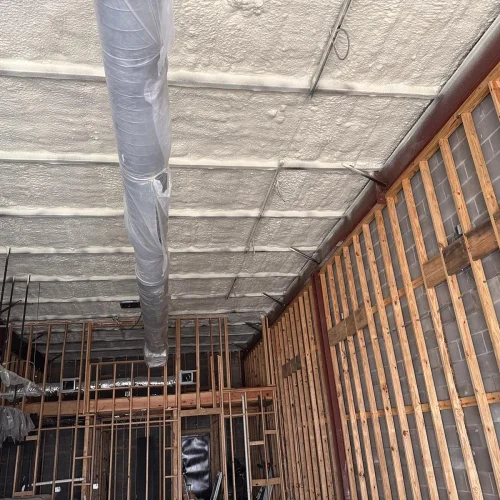 WhatsApp-Image-2025-05-15-at-7.48.05-PM