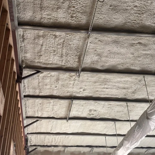 WhatsApp-Image-2025-05-15-at-7.48.06-PM-3