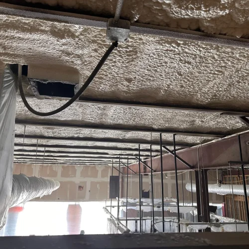 WhatsApp-Image-2025-05-15-at-8.11.38-PM-2