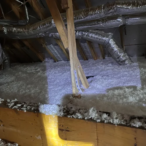 WhatsApp-Image-2025-05-15-at-8.21.04-PM-1