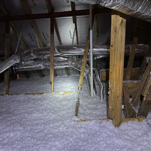 WhatsApp-Image-2025-05-15-at-8.21.04-PM-10