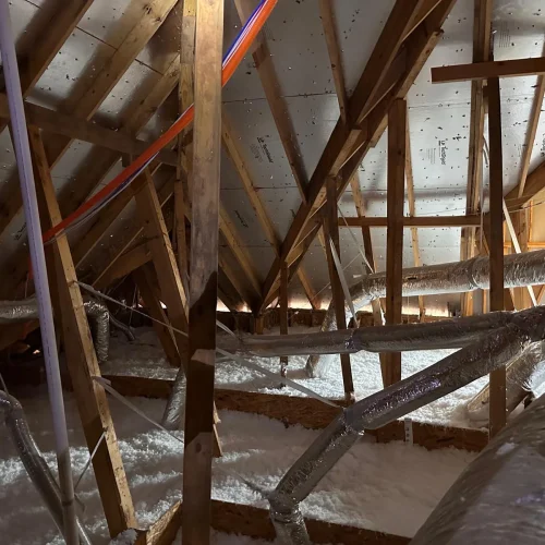 WhatsApp-Image-2025-05-15-at-8.21.04-PM-5