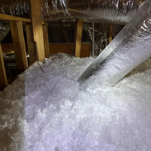 WhatsApp-Image-2025-05-15-at-8.21.04-PM