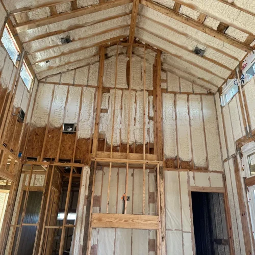 WhatsApp-Image-2025-05-16-at-12.02.55-AM